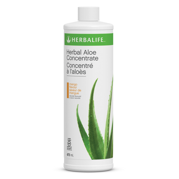 Herbal Aloe Concentrate: Mango 473 ml
